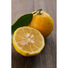 Yuzu