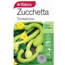 Zucchetta