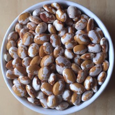Zuni Bean