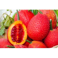 Momordica Fruit