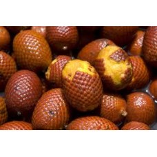 Moriche Palm Fruit