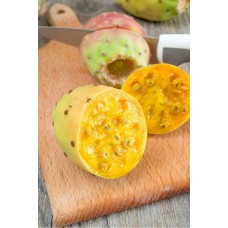 Tuna Fruit
